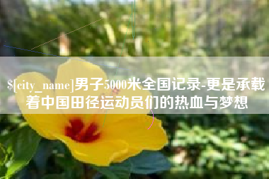 衡阳男子5000米全国记录-更是承载着中国田径运动员们的热血与梦想