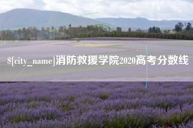 衡阳消防救援学院2020高考分数线