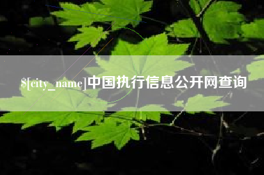 衡阳中国执行信息公开网查询