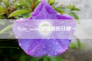 衡阳全国消防日哪一