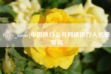 衡阳中国执行公开网被执行人名单查询