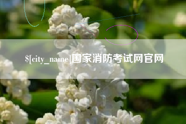 衡阳国家消防考试网官网
