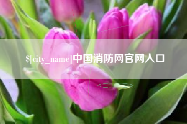 衡阳中国消防网官网入口