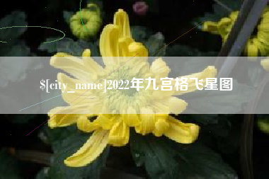 衡阳2022年九宫格飞星图