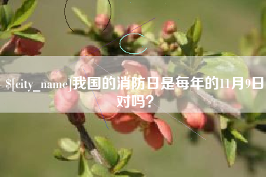 衡阳我国的消防日是每年的11月9日对吗？