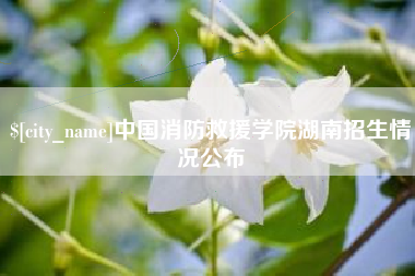 衡阳中国消防救援学院湖南招生情况公布