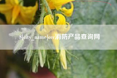 衡阳ccc消防产品查询网