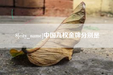 衡阳中国九枚金牌分别是