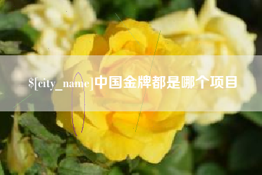 衡阳中国金牌都是哪个项目