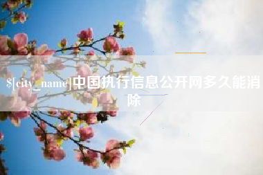 衡阳中国执行信息公开网多久能消除