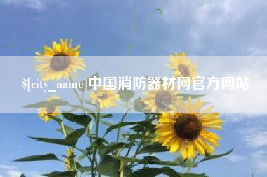 衡阳中国消防器材网官方网站
