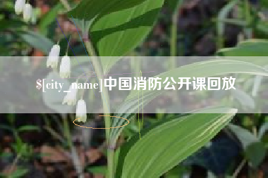衡阳中国消防公开课回放