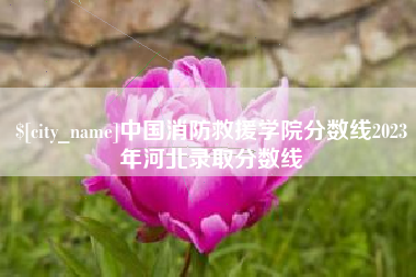 衡阳中国消防救援学院分数线2023年河北录取分数线