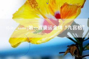 衡阳第一波奥运金牌“九宫格”