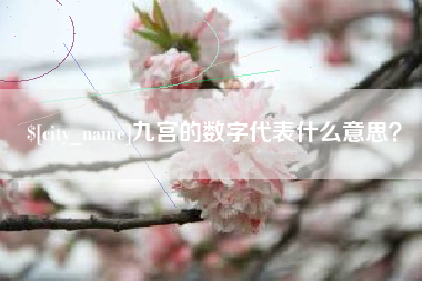 衡阳九宫的数字代表什么意思？