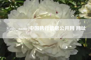 衡阳中国执行信息公开网 网址