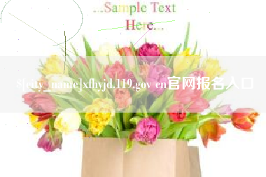 衡阳xfhyjd.119.gov cn官网报名入口