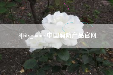 衡阳中国消防产品官网