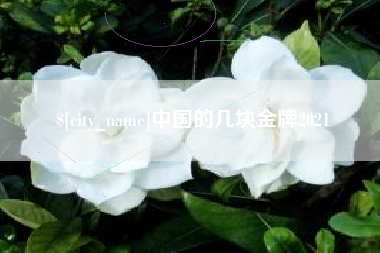 衡阳中国的几块金牌2021