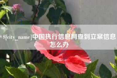 衡阳中国执行信息网查到立案信息怎么办