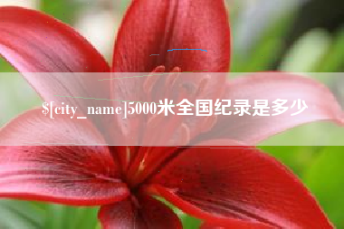 衡阳5000米全国纪录是多少