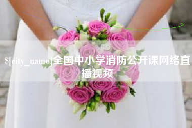 衡阳全国中小学消防公开课网络直播视频