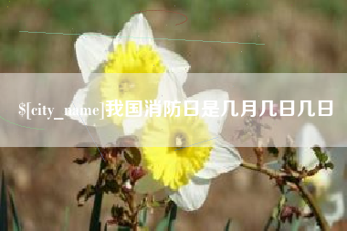 衡阳我国消防日是几月几日几日