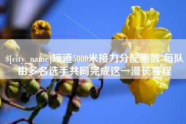 衡阳短道5000米接力分配圈数-每队由多名选手共同完成这一漫长赛程