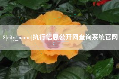 衡阳执行信息公开网查询系统官网