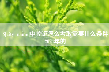 衡阳中控证怎么考取需要什么条件2024年的
