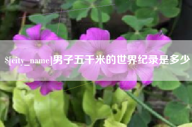 衡阳男子五千米的世界纪录是多少