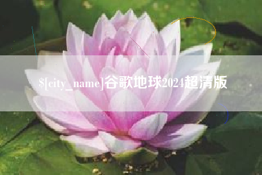 衡阳谷歌地球2024超清版