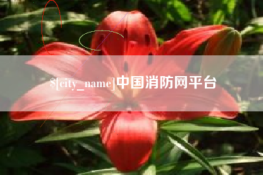 衡阳中国消防网平台