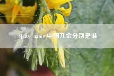 衡阳中国九金分别是谁