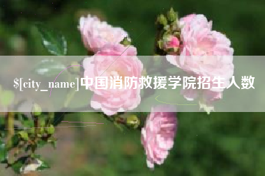 衡阳中国消防救援学院招生人数