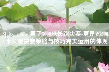 衡阳男子5000米长跑决赛-更是对5000米长跑决赛策略与技巧完美运用的体现