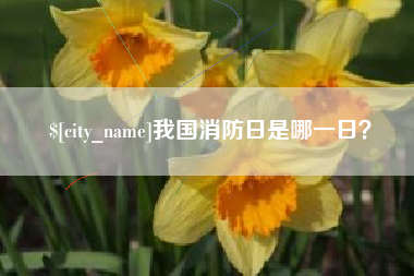 衡阳我国消防日是哪一日？