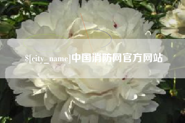 衡阳中国消防网官方网站
