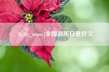 衡阳全国消防日是好久