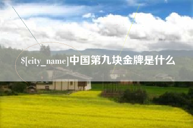 衡阳中国第九块金牌是什么