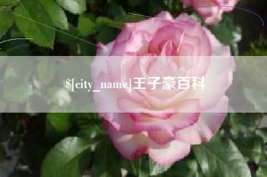 衡阳王子豪百科