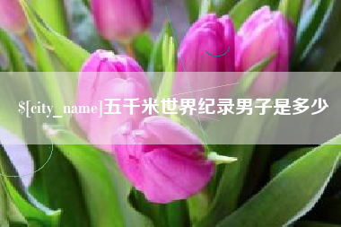 衡阳五千米世界纪录男子是多少
