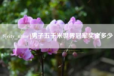 衡阳男子五千米世界冠军奖金多少