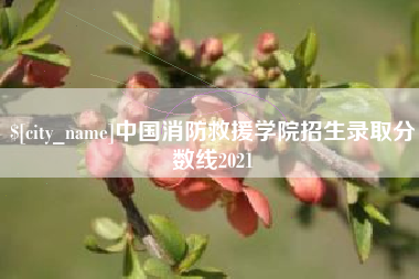 衡阳中国消防救援学院招生录取分数线2021