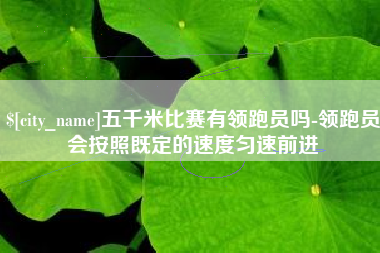 衡阳五千米比赛有领跑员吗-领跑员会按照既定的速度匀速前进