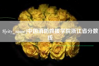 衡阳中国消防救援学院浙江省分数线