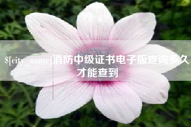 衡阳消防中级证书电子版查询多久才能查到