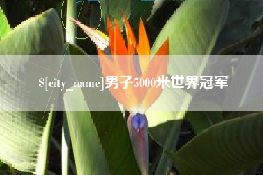 衡阳男子5000米世界冠军