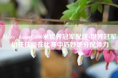 衡阳5000米世界冠军配速-世界冠军们往往能在比赛中巧妙地分配体力