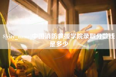 衡阳中国消防救援学院录取分数线是多少